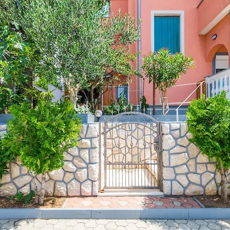 Mikanovic 크리크베니카