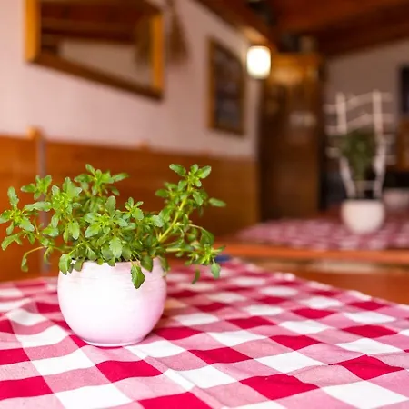 아파트 Mikanovic 크리크베니카