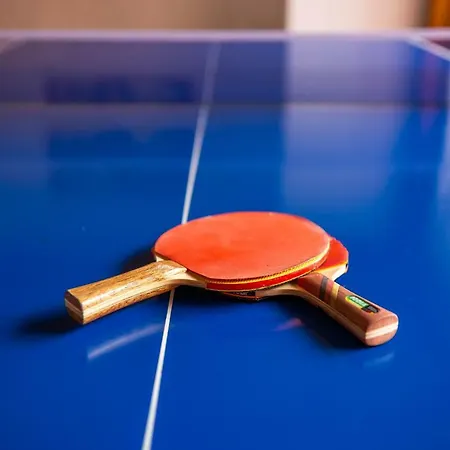 Mikanovic 아파트 *