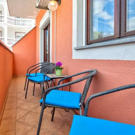 Mikanovic 크리크베니카